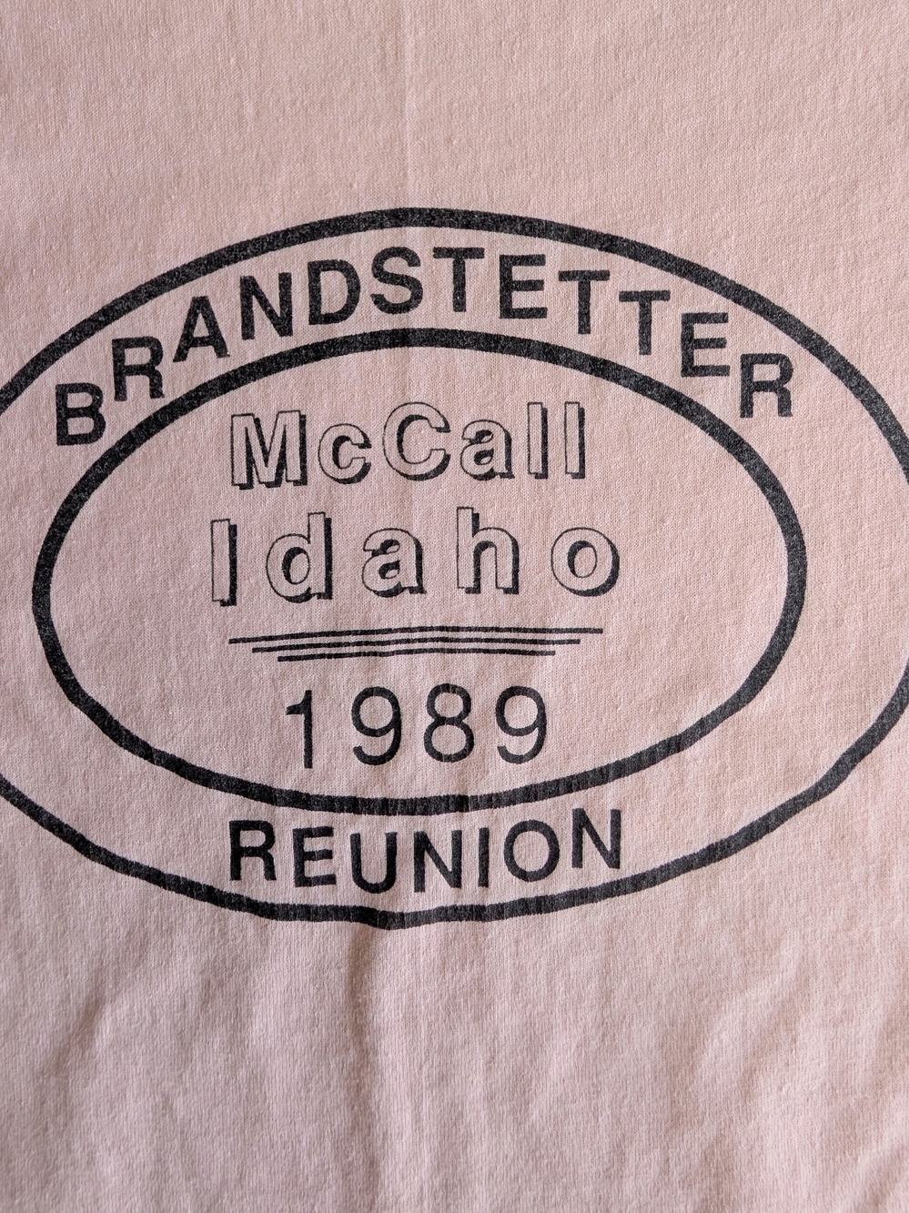 Vintage Family Reunion 1989 Tshirt Hanes Pink Fifty-Fifty Crewneck Tee